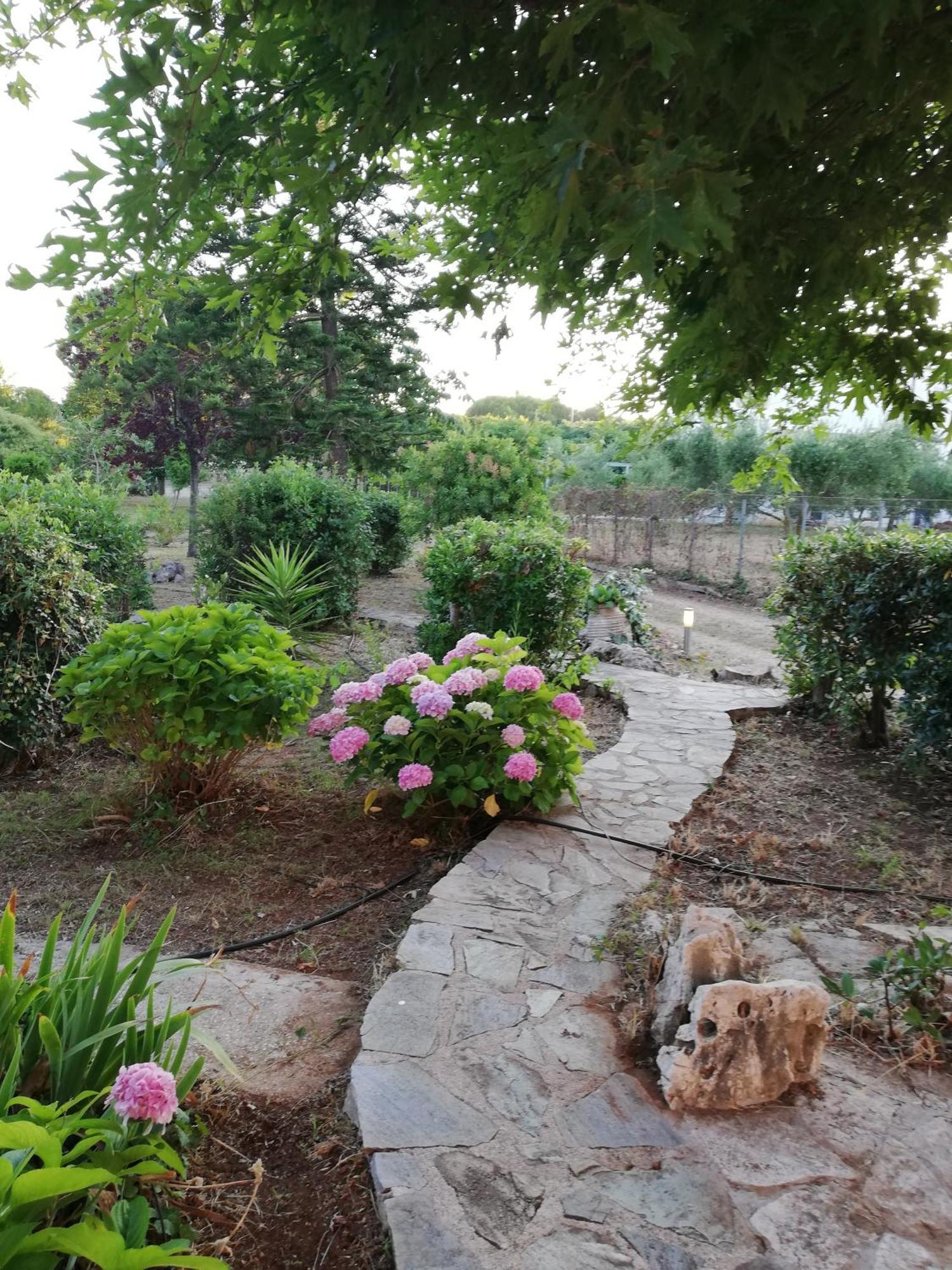 Villa Oneiropagida 프레베자 외부 사진