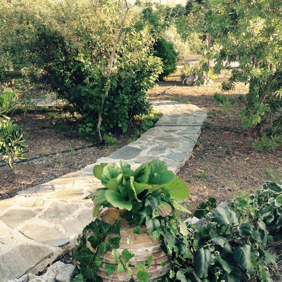 Villa Oneiropagida 프레베자 외부 사진